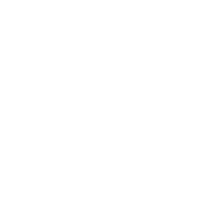 parquetry herringbone