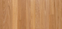 Australian Beech