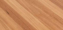 Blackbutt