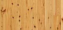 Cypress Pine