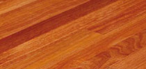 Flooded / Rose Gum
