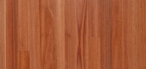 Red Mahogany