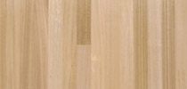 Tasmanian Oak